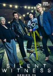 无声的证言第二十九季(全集)