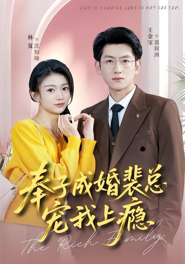 奉子成婚裴总宠我上(全集)