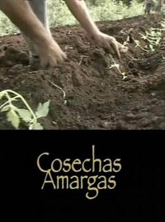 苦涩的收获(全集)