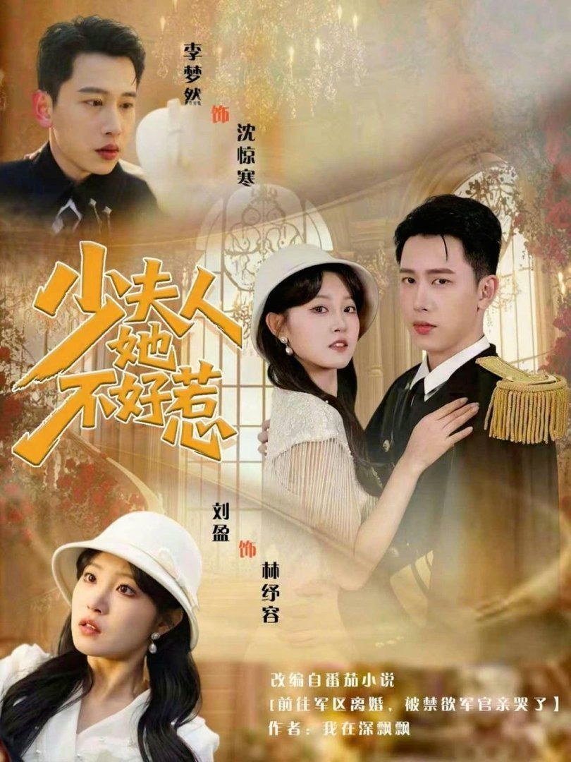 少夫人她不好惹(全集)