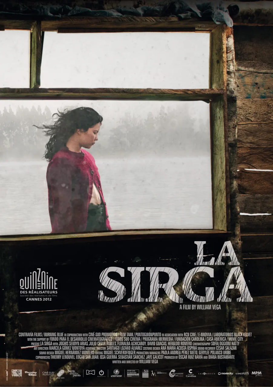 薄雾微光(全集)